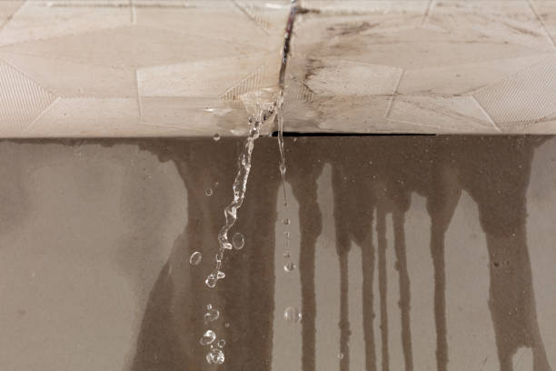 Professional Burst Pipe Cleanup technician working in Minot, ME